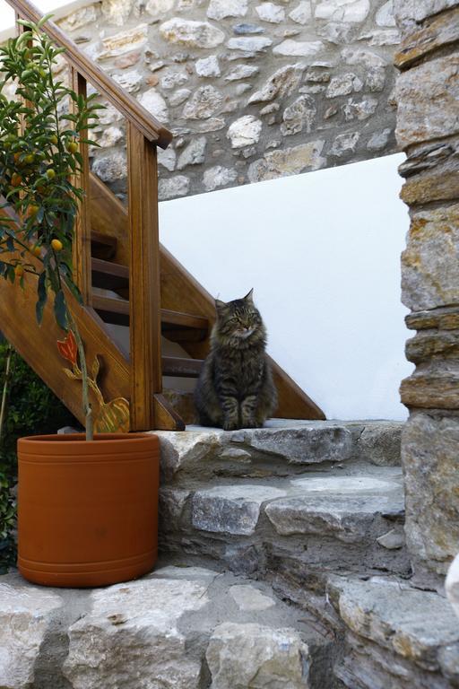 Ibri Hotel Selcuk Exteriér fotografie